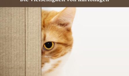 Die Vielseitigkeit von Kartonagen