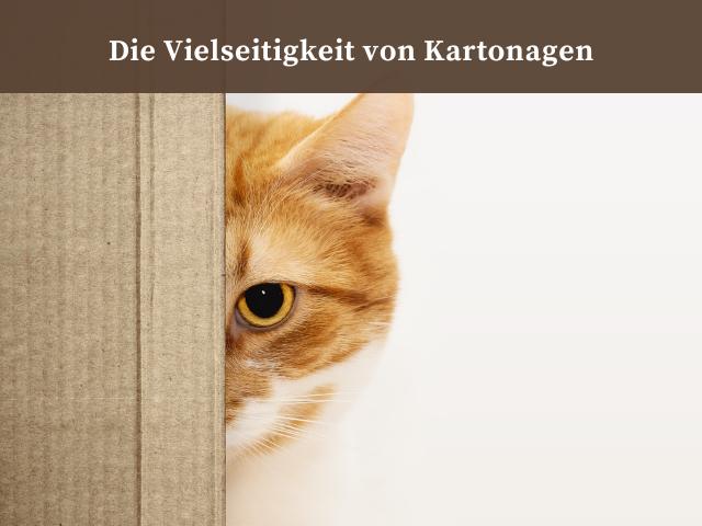 Die Vielseitigkeit von Kartonagen